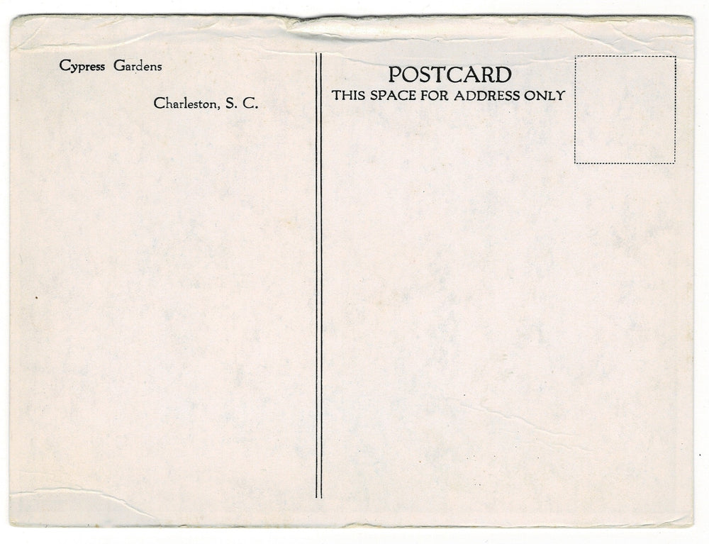 1932 Cypress Gardens in Charleston, South Carolina Vintage Postcard, back view.