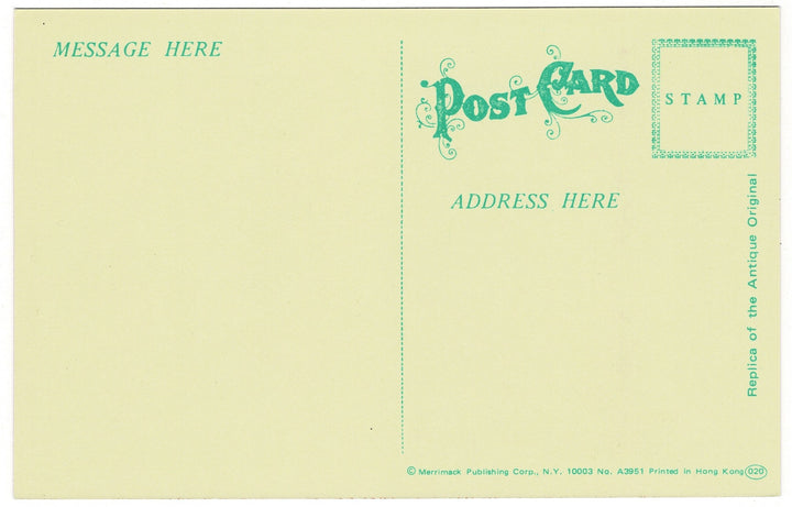 1970s Curly Locks Vintage Valentine Postcard back view.