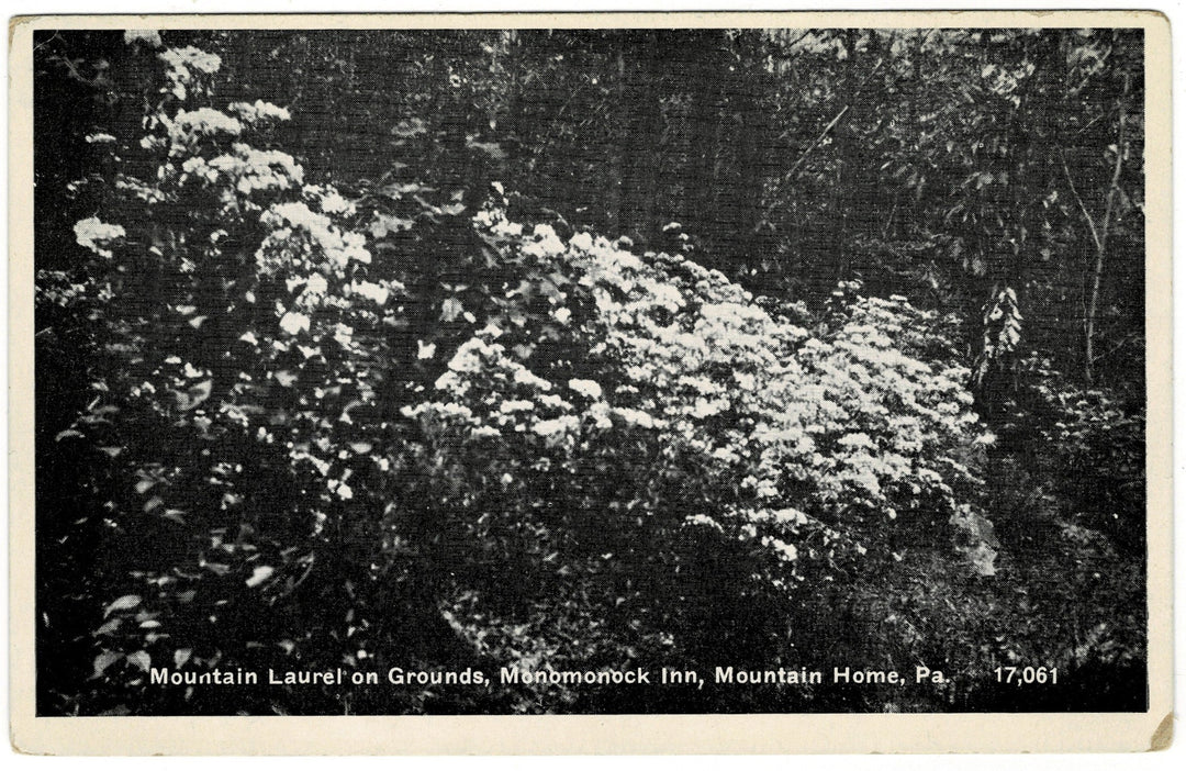 1900s Monomonock Inn Mountainhome PA Vintage Postcard Poconos.