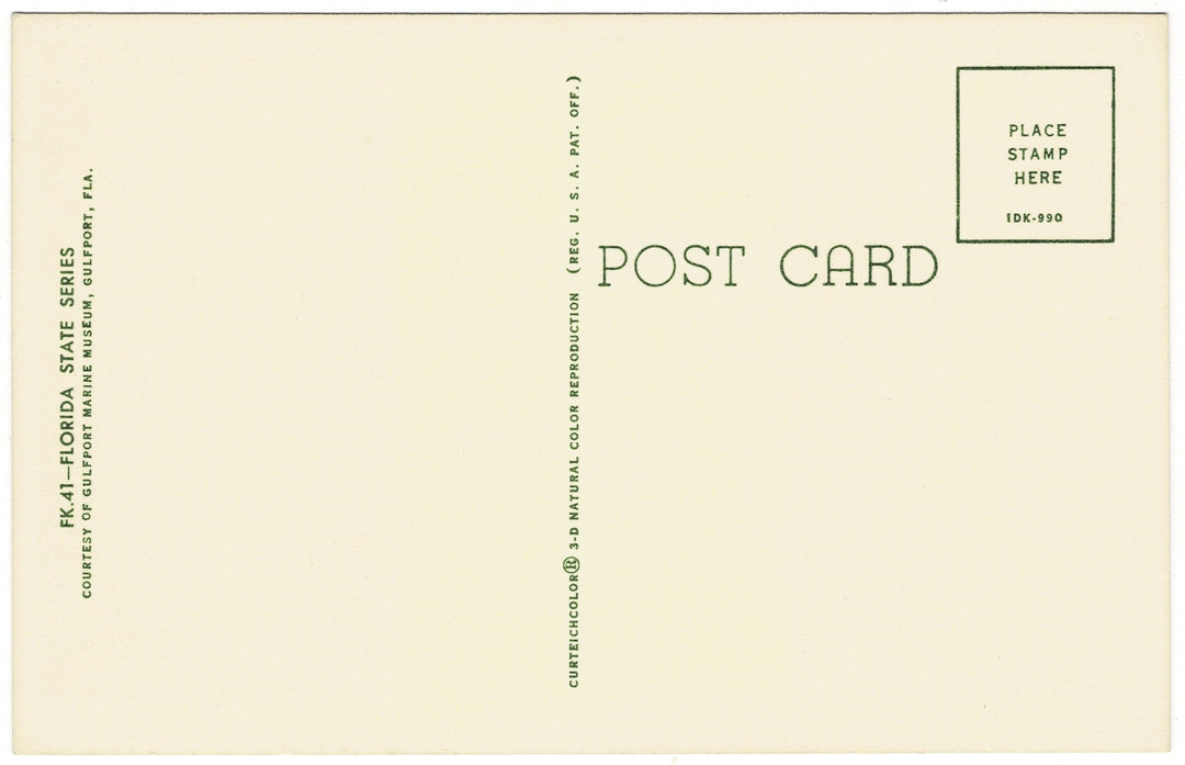 1961 Legend of the Crucifix Fish, Vintage Florida Souvenir Postcard, back view, unposted.