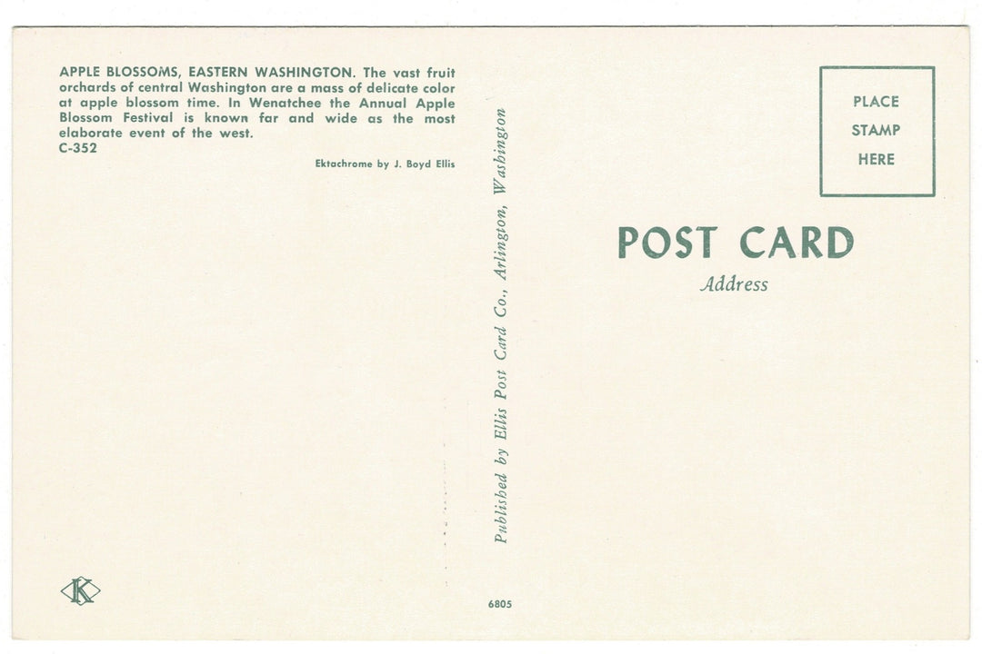 1950s Apple Blossoms in Eastern Washington Vintage Flora Postcard, back view.