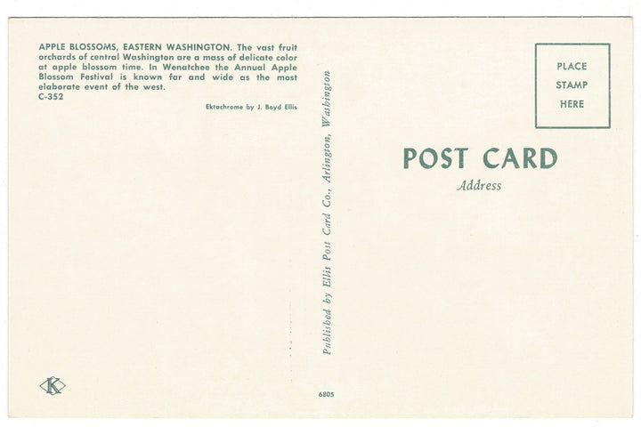 1950s Apple Blossoms in Eastern Washington Vintage Flora Postcard, back view.