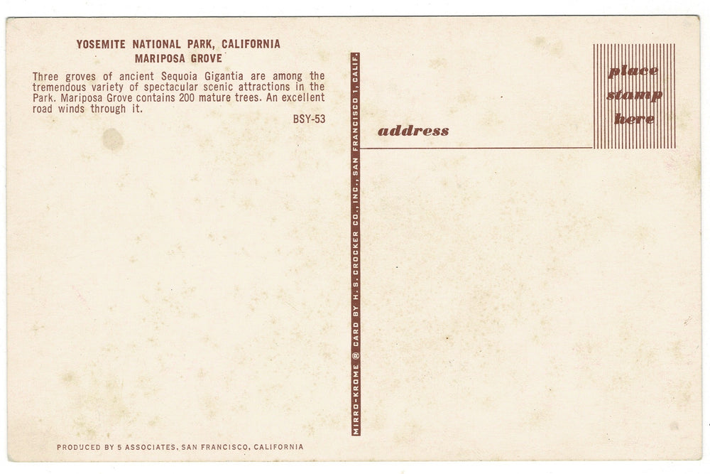 Giant Sequoias of Mariposa Grove in Yosemite National Park vintage postcard, back vew.