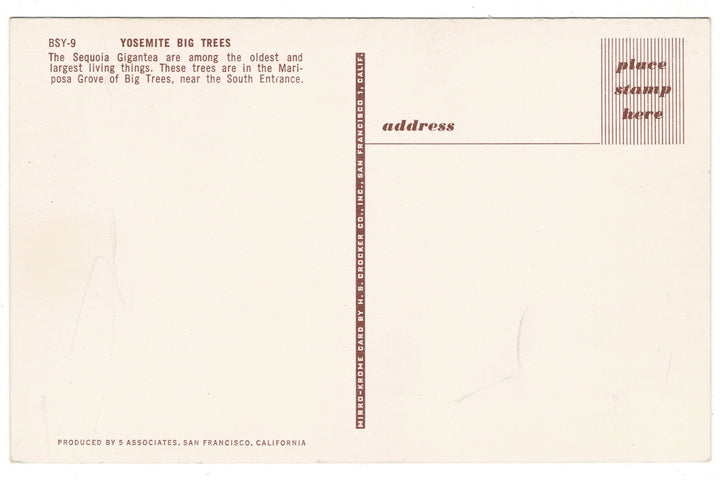 1950 Sequoias Mariposa Grove Yosemite National Park Vintage Postcard, back view.