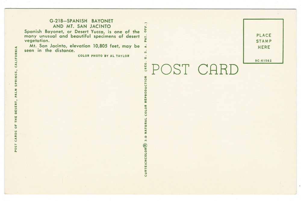 1959 Spanish Bayonet  Mt. San Jacinto Palm Springs CA Vintage Postcard, back view