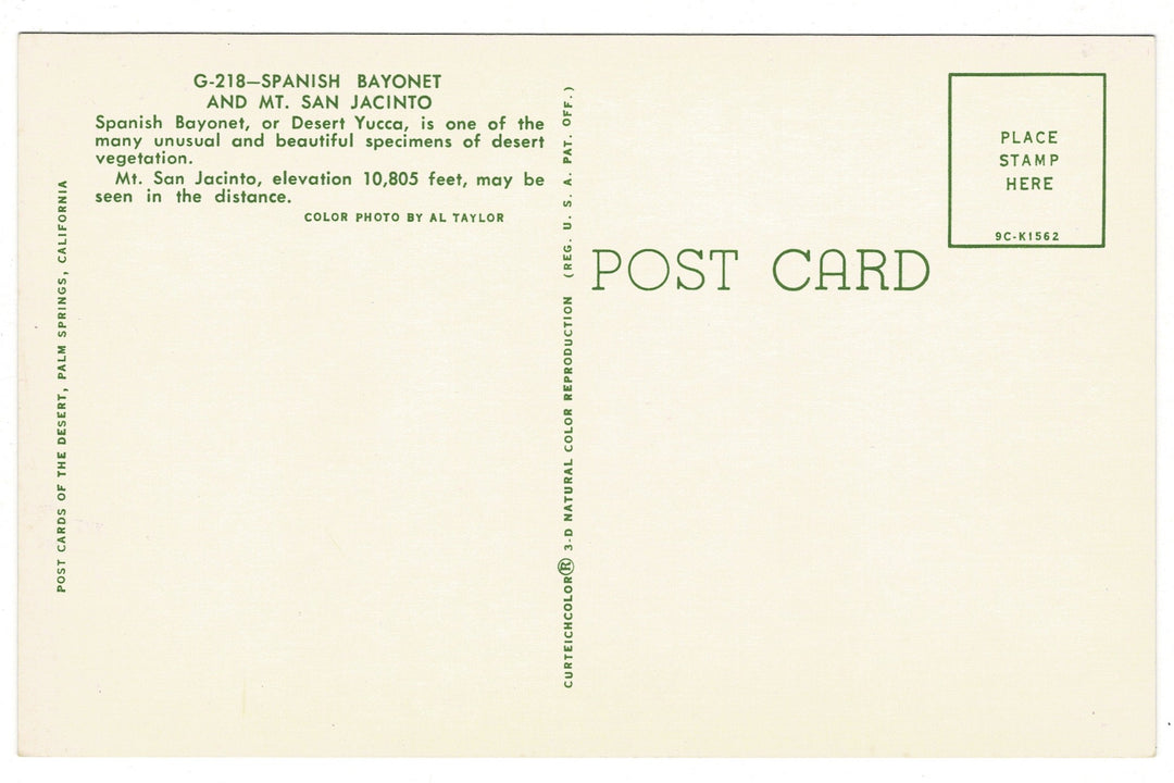 1959 Spanish Bayonet  Mt. San Jacinto Palm Springs CA Vintage Postcard, back view
