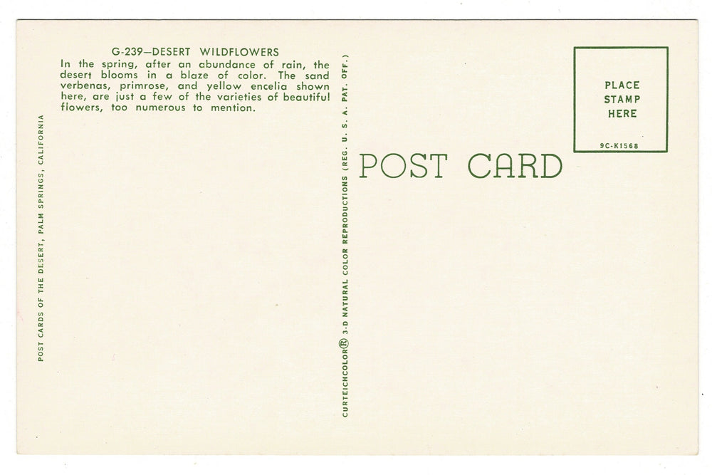 1959 Desert Wildflowers in Palm Springs, California, Vintage Postcard, back view.