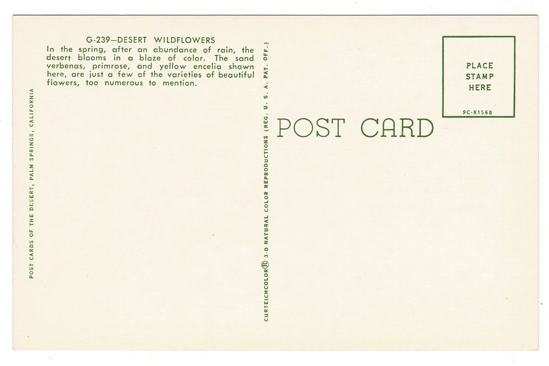 1959 Desert Wildflowers in Palm Springs, California, Vintage Postcard, back view.
