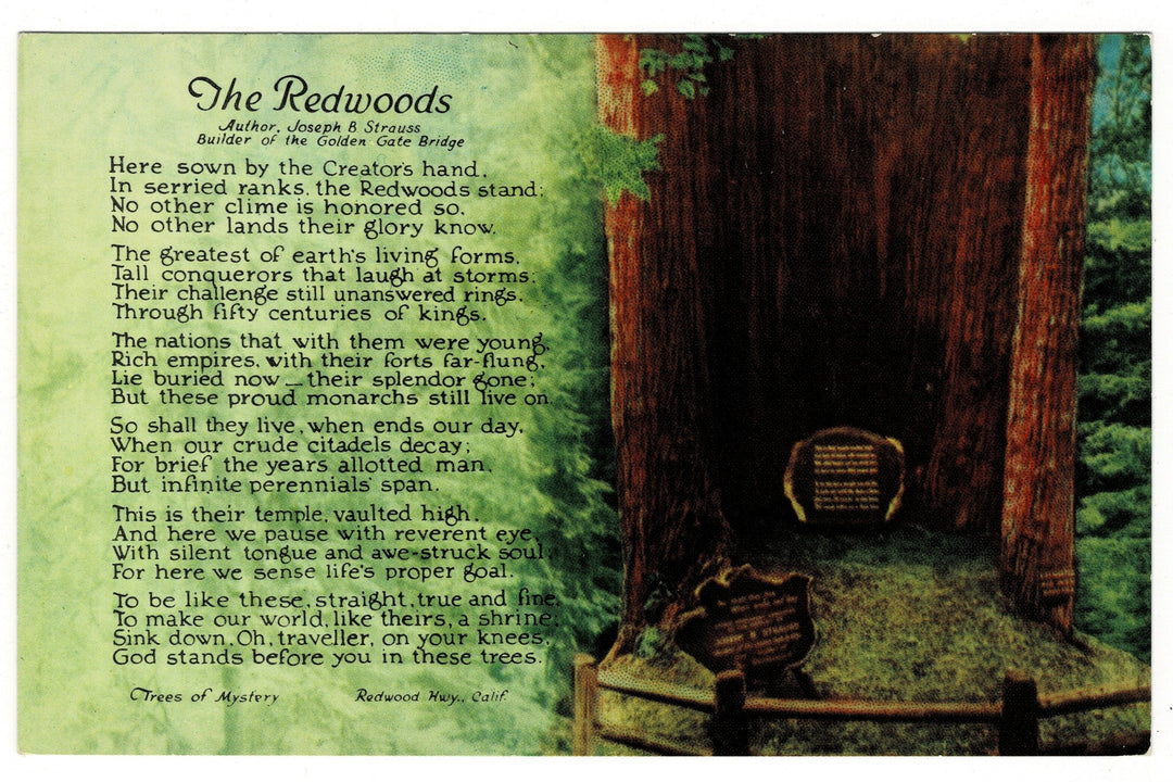 1950s Trees of Mystery, Redwood Highway, California Vintage Postcard.