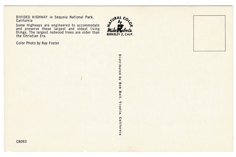 1950s The Four Guardsmen in Sequoia National Park Vintage Postcard, back view.