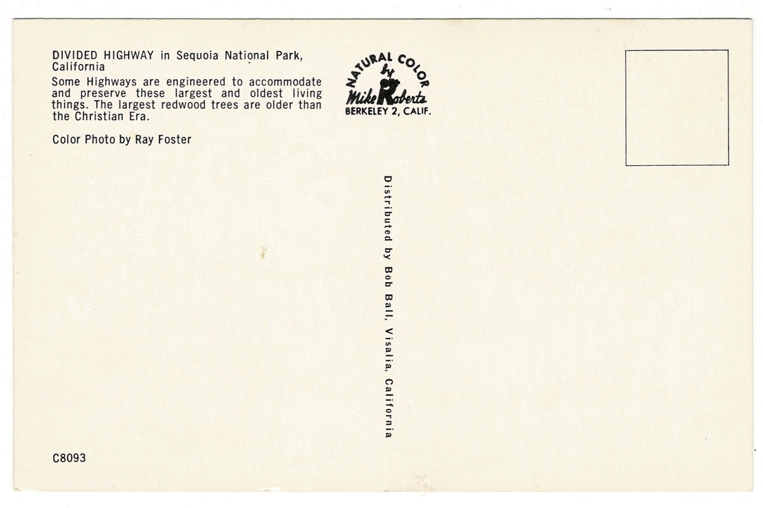 1950s The Four Guardsmen in Sequoia National Park Vintage Postcard, back view.