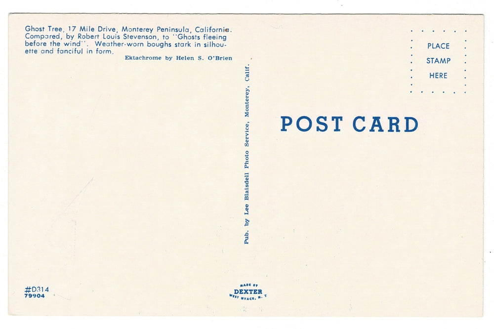 1954 Ghost Tree Monterey Peninsula, California Vintage Postcard, back view.