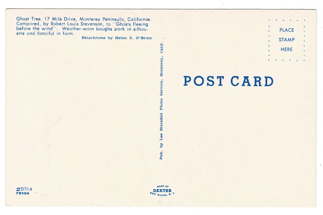 1954 Ghost Tree Monterey Peninsula, California Vintage Postcard, back view.