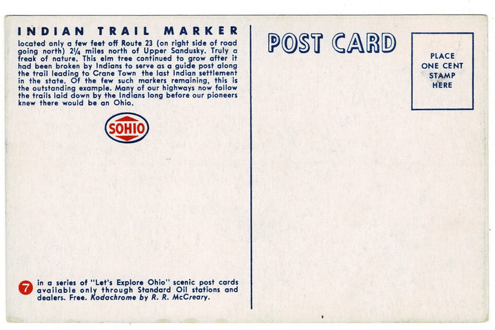 1940s Intentionally Bent Tree: Indian Trail Marker Vintage Postcard, back view.