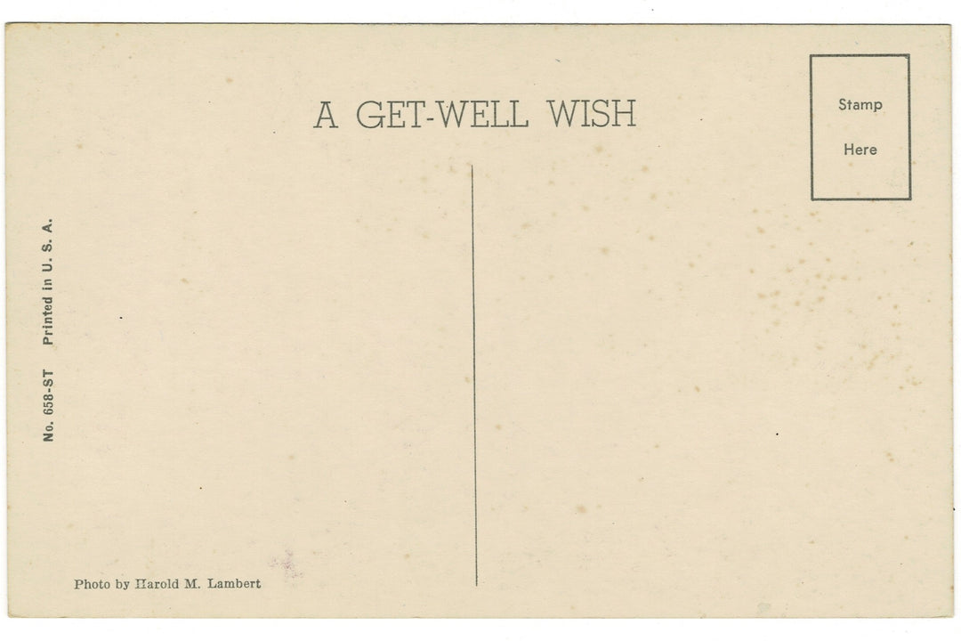 1940s Get Well Wish Religious Floral Greeting Vintage Postcard, back view.