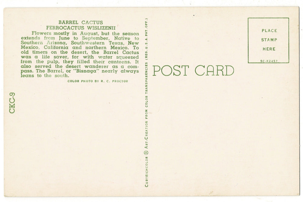 1955 Fishhook Barrel Cactus Sonoran Desert Flora Vintage Postcard, back view.