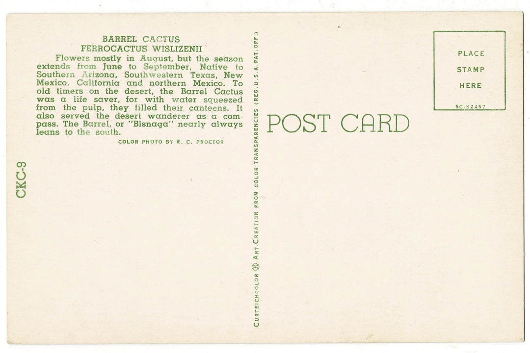 1955 Fishhook Barrel Cactus Sonoran Desert Flora Vintage Postcard, back view.