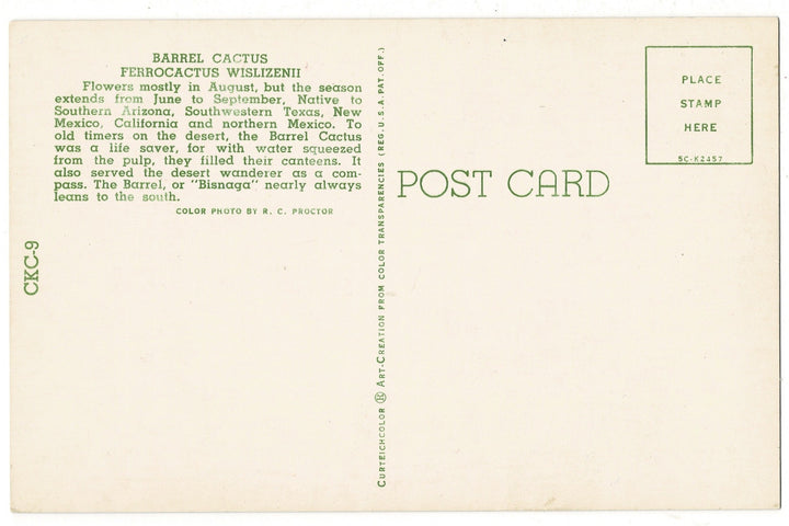 1955 Fishhook Barrel Cactus Sonoran Desert Flora Vintage Postcard, back view.