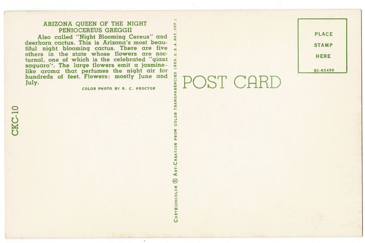Arizona Queen of the Night Flora Postcard, back view.