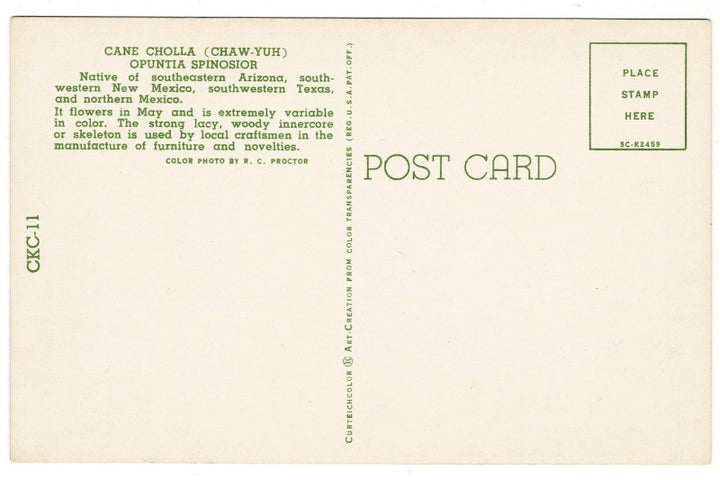 Back of postcard.