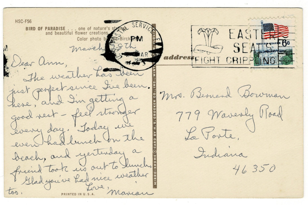 1973 Bird of Paradise Vintage Flora Postcard, back view.