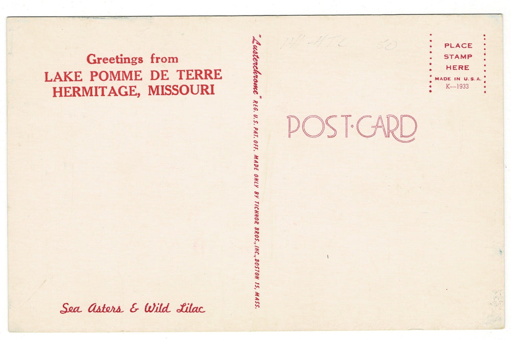 1960s Sea Asters and Lilacs, Lake Pomme de Terre, Hermitage, Missouri vintage postcard, back view.