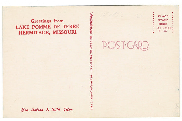 1960s Sea Asters and Lilacs, Lake Pomme de Terre, Hermitage, Missouri vintage postcard, back view.