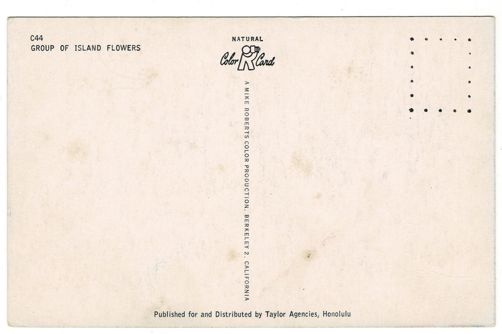 1950s Tropical Flowers from Hawaii Vintage Postcard, back view