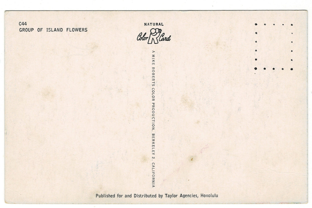 1950s Tropical Flowers from Hawaii Vintage Postcard, back view