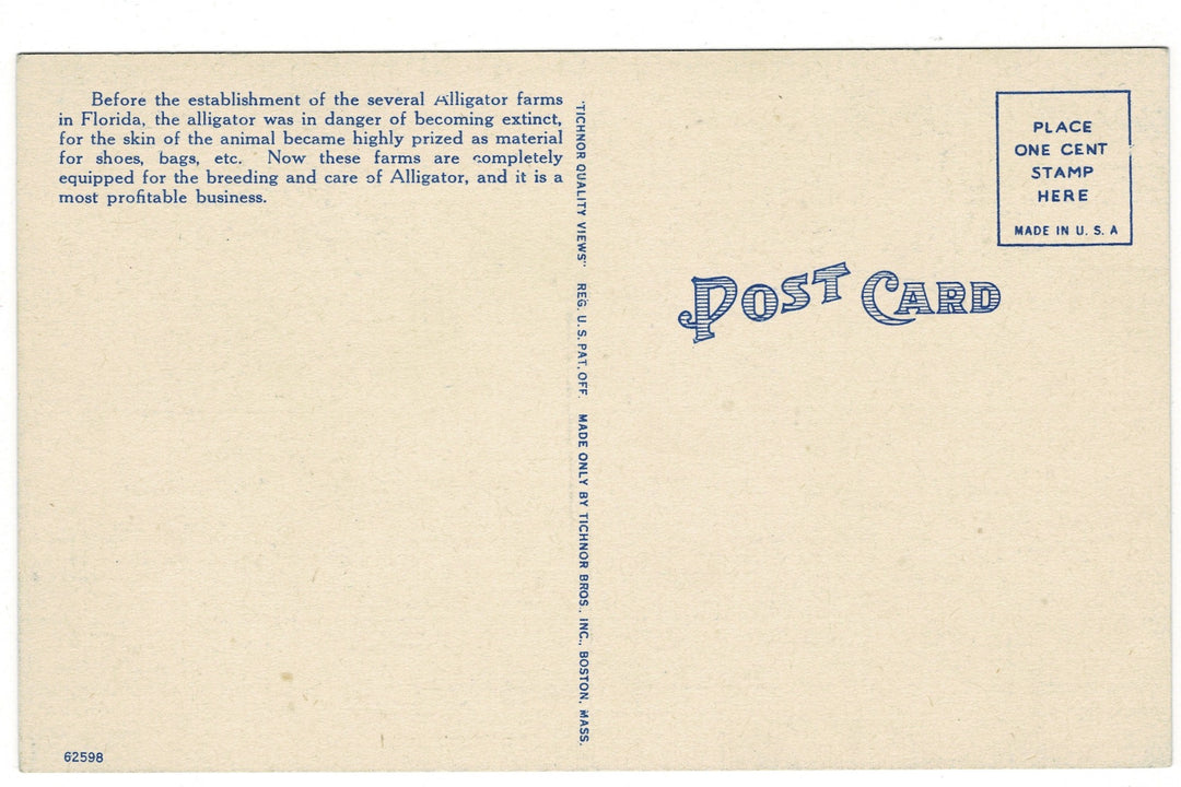 1940s Alligator Farm in Florida Vintage Postcard, back view.