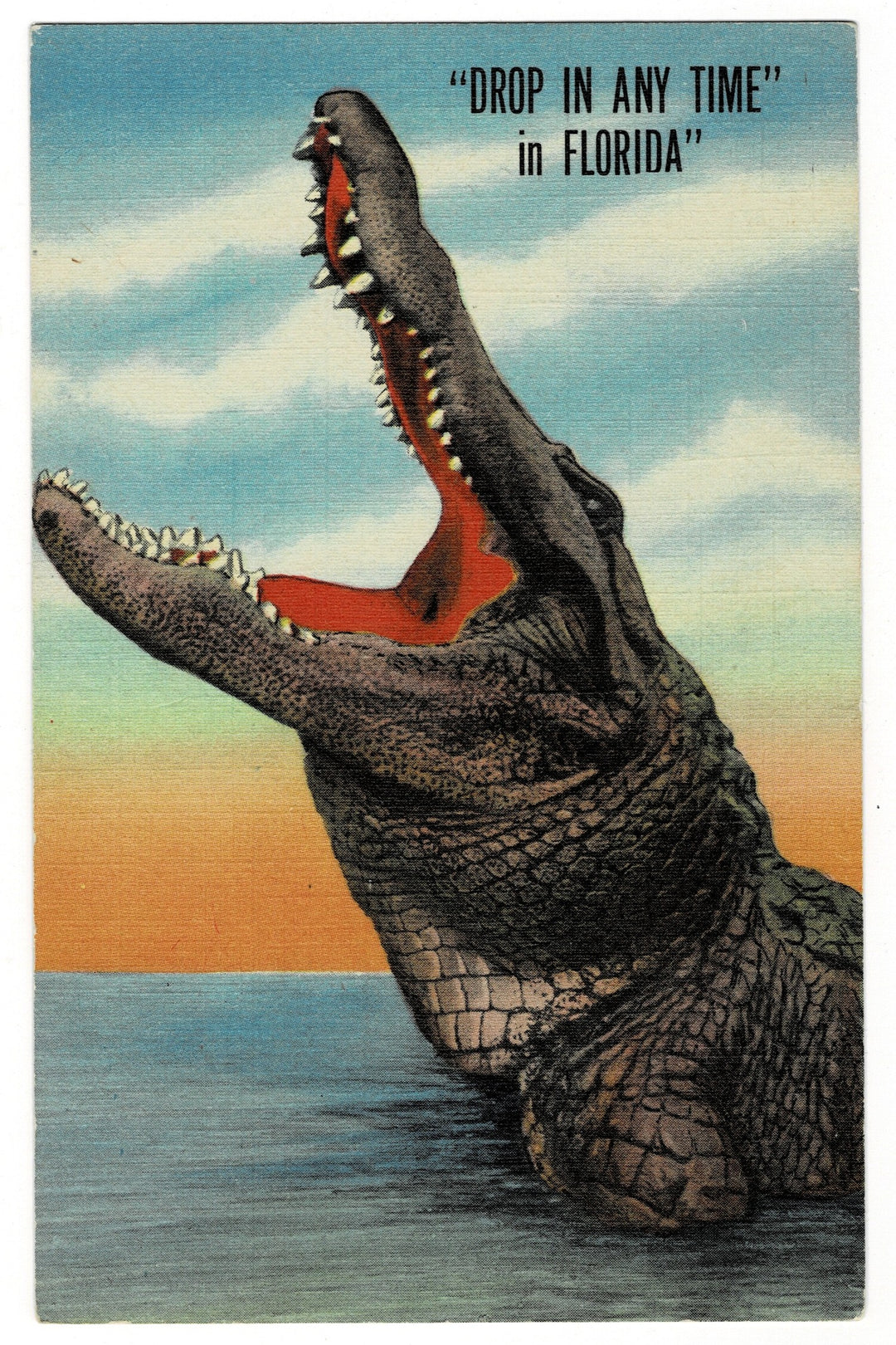 1946 Gator Humor, Florida Fun Vintage Postcard.