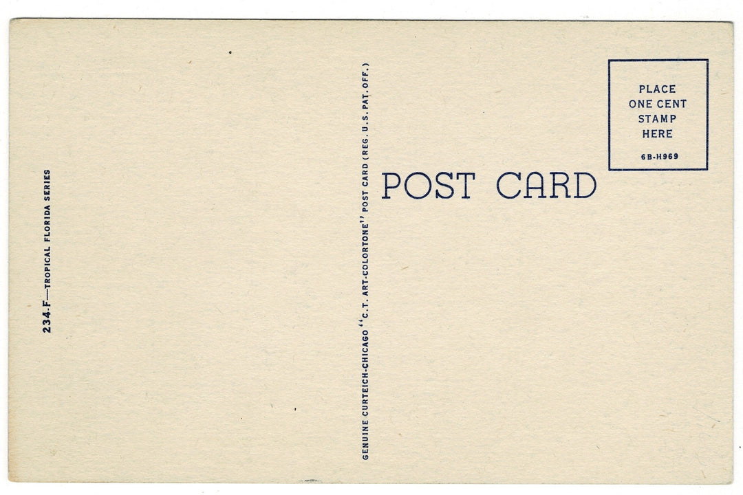 1946 Gator Humor, Florida Fun Vintage Postcard, back view.