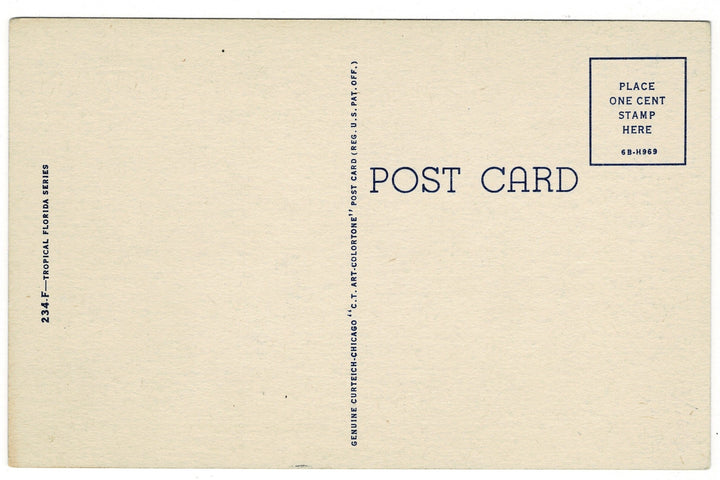 1946 Gator Humor, Florida Fun Vintage Postcard, back view.