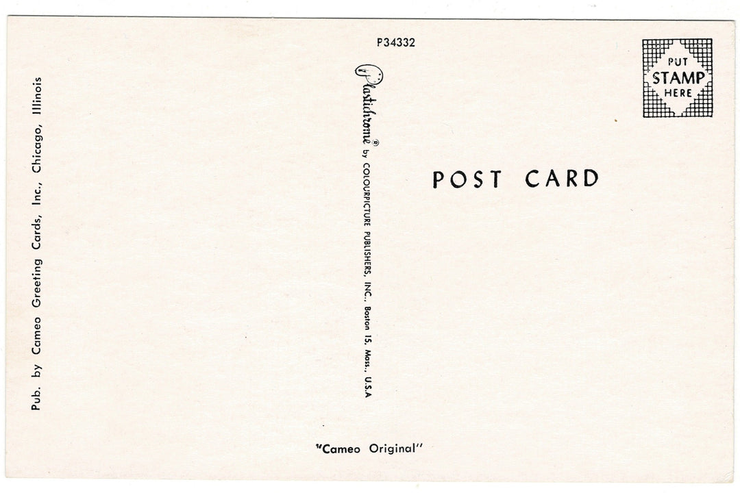 1960s Florida Monkey Jungle Souvenir Vintage Baseball Postcard, back view.