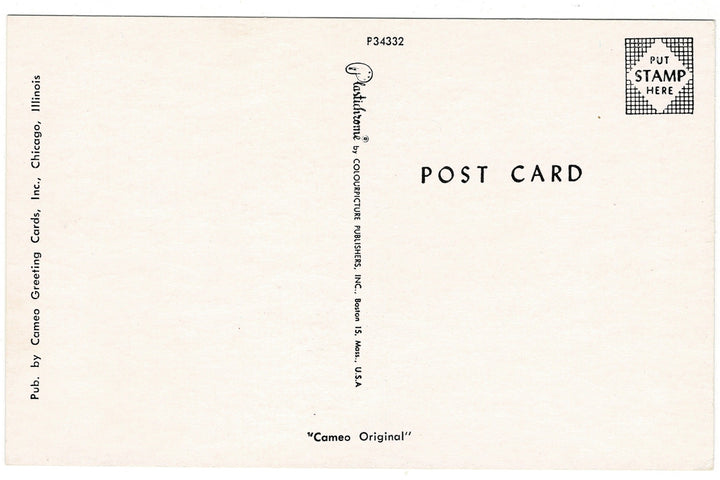 1960s Florida Monkey Jungle Souvenir Vintage Baseball Postcard, back view.