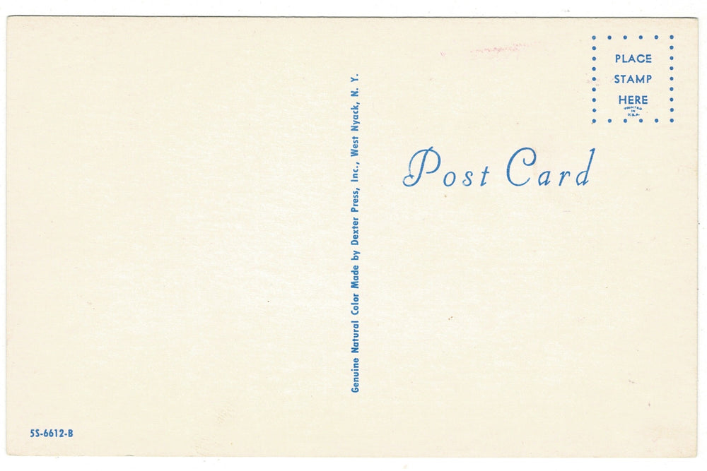 1960s Seated Collie: Lassie-Era Nostalgia Vintage Dog Postcard, back view.