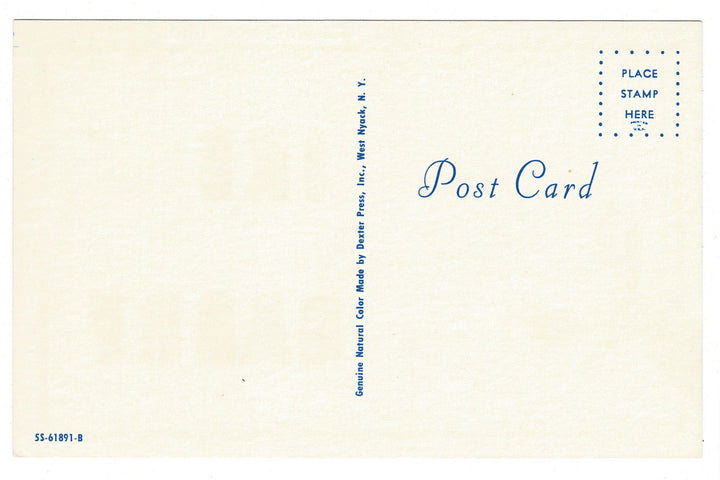 1962 We Miss IKE – Anti-Kennedy Political Postcard, back view.