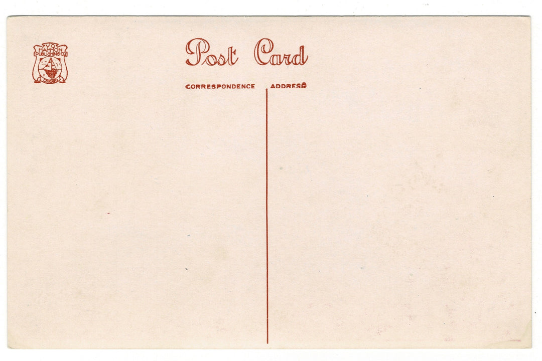 1930s Field Museum Michigan Deer Diorama Vintage Postcard, back view.