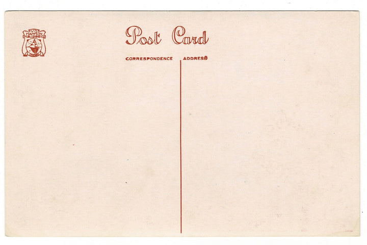 1930s Field Museum Michigan Deer Diorama Vintage Postcard, back view.