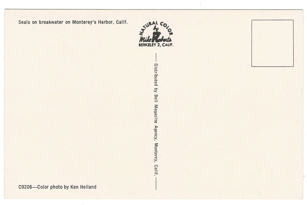 1950s Seals in Monterey Harbor California Vintage Postcard, back view.