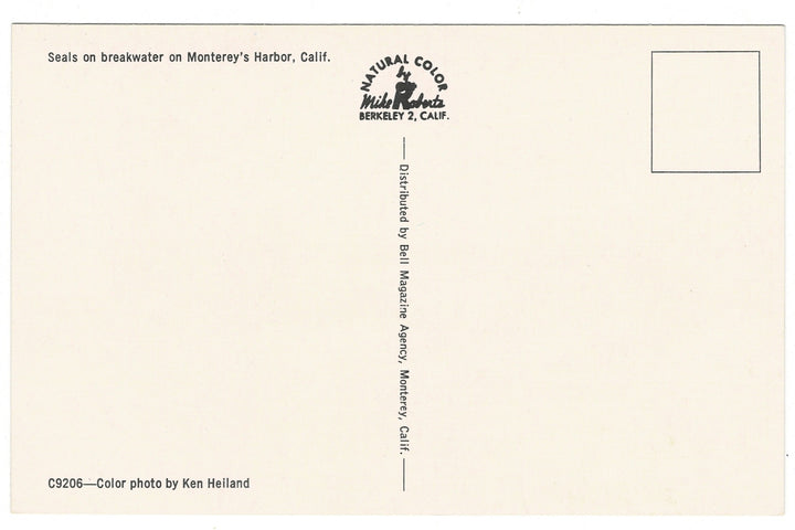 1950s Seals in Monterey Harbor California Vintage Postcard, back view.