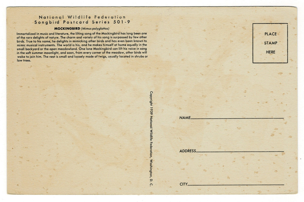 1939 Mockingbird Songbird Vintage Art Postcard, back view.