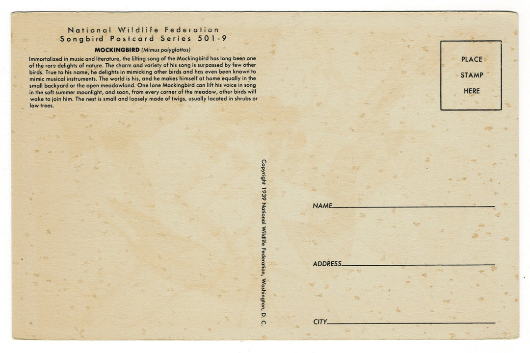 1939 Mockingbird Songbird Vintage Art Postcard, back view.