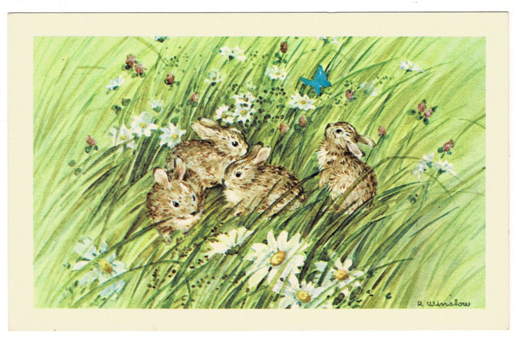 1960s Rabbits at Play Artist Signed by Winslow Vintage Postcard.