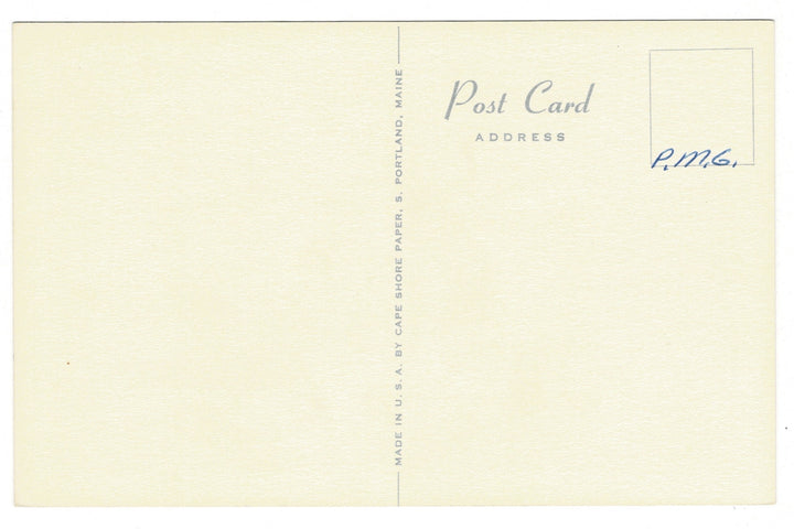 1960s Rabbits at Play Artist Signed by Winslow Vintage Postcard, back view.