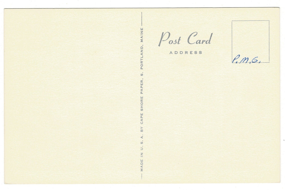 1960s Gray Squirrels by Ripper Vintage Artist Signed Postcard, back view.