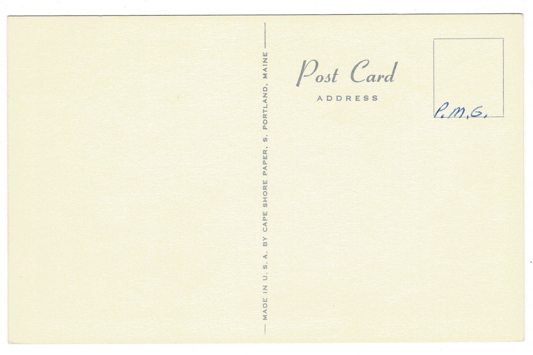 1960s Gray Squirrels by Ripper Vintage Artist Signed Postcard, back view.