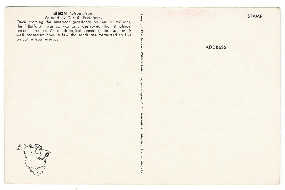 1958 American Bison by Eckleberry Vintage Artist Signed Postcard, back view.