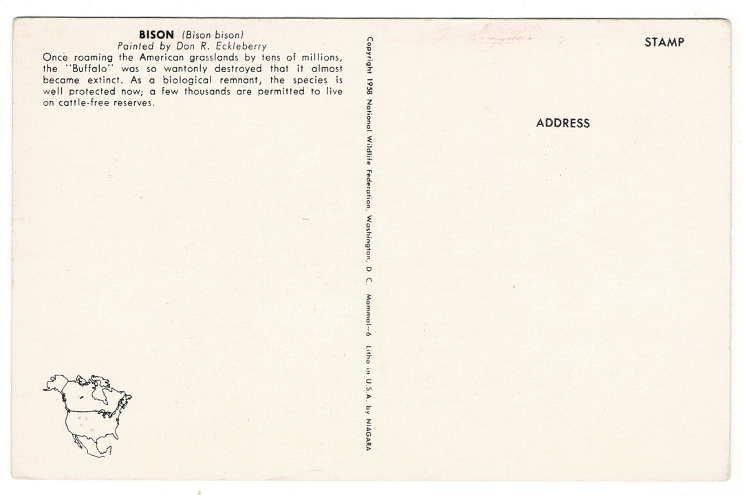 1958 American Bison by Eckleberry Vintage Artist Signed Postcard, back view.