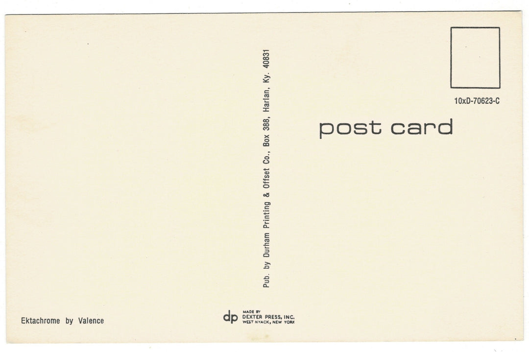 1971 Smelly Welcome at the Campground Funny Vintage Skunk Postcard, back view.